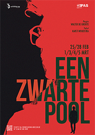 Een Zwarte Pool